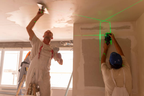 Best Water-Damaged Drywall Repair  in USA